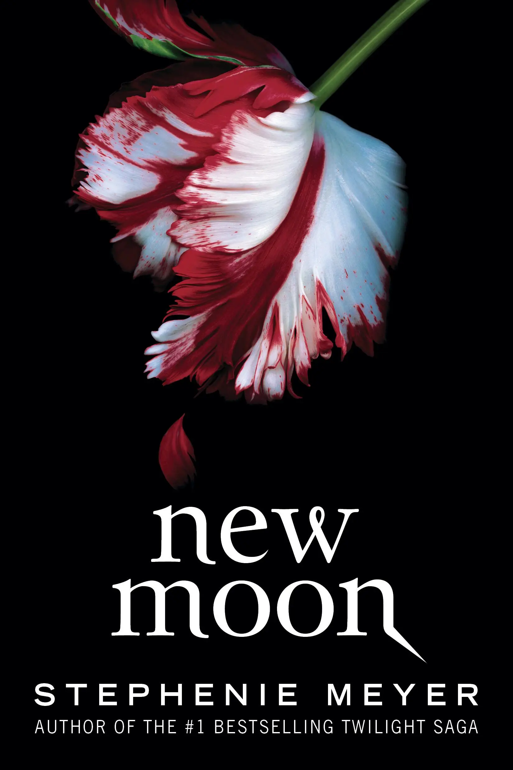 Cover of New Moon