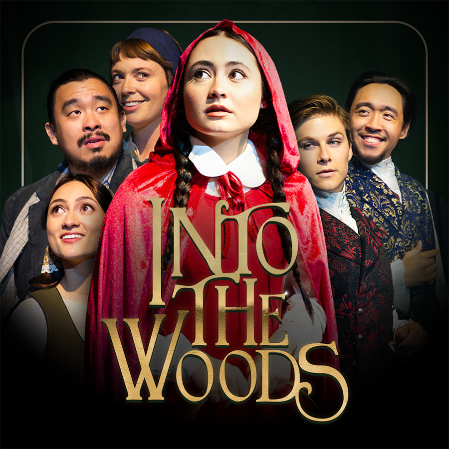 Poster of Into the Woods