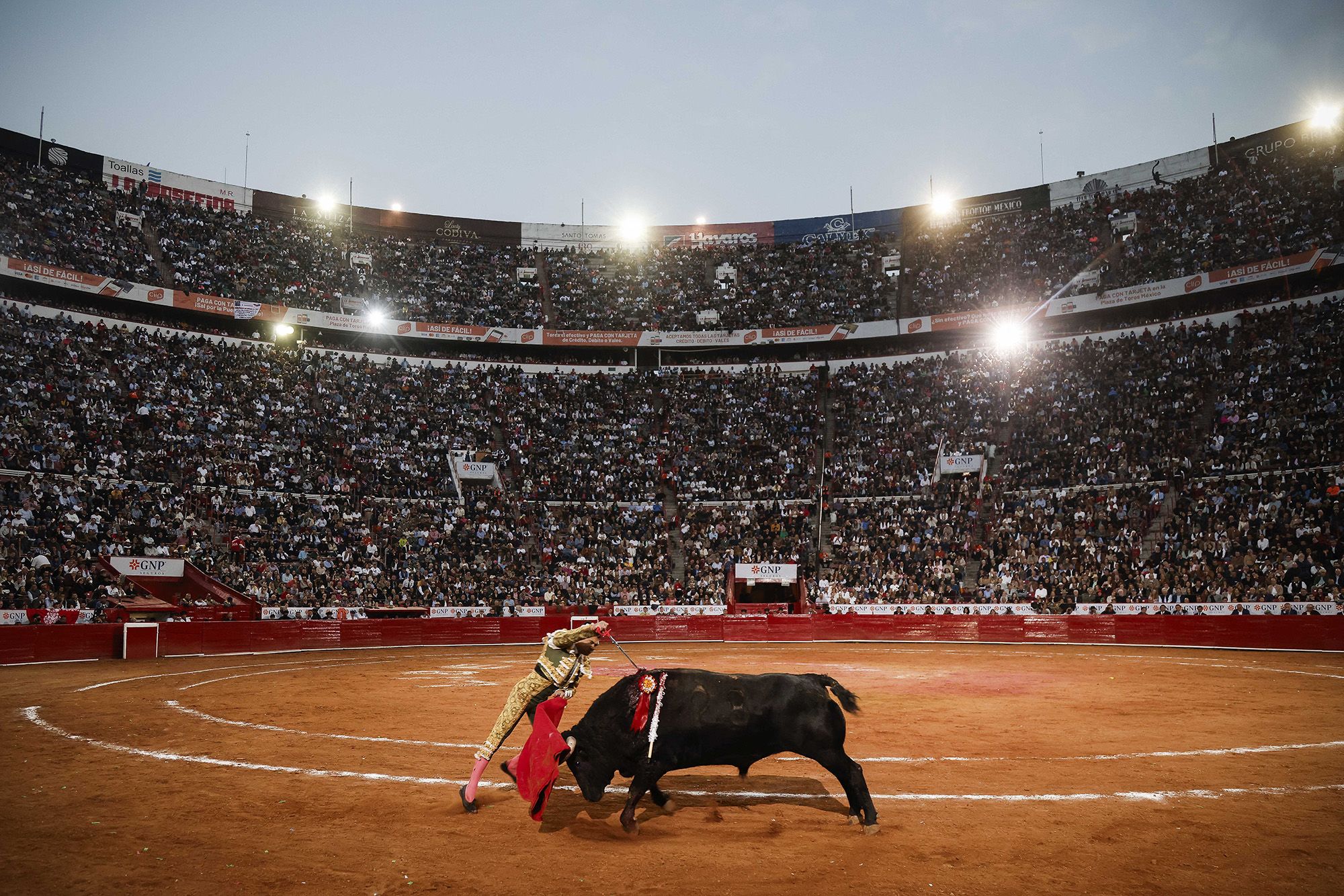 Poster of Bull Fight